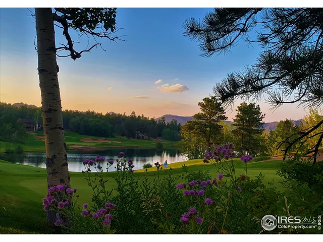 a view of a wooden bridge