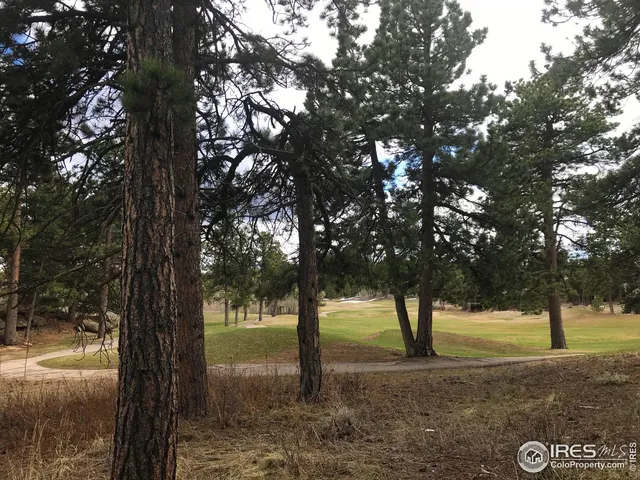 a view of a tree in the middle of a yard
