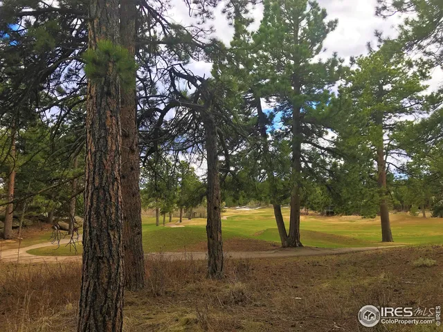 a view of a trees with yard