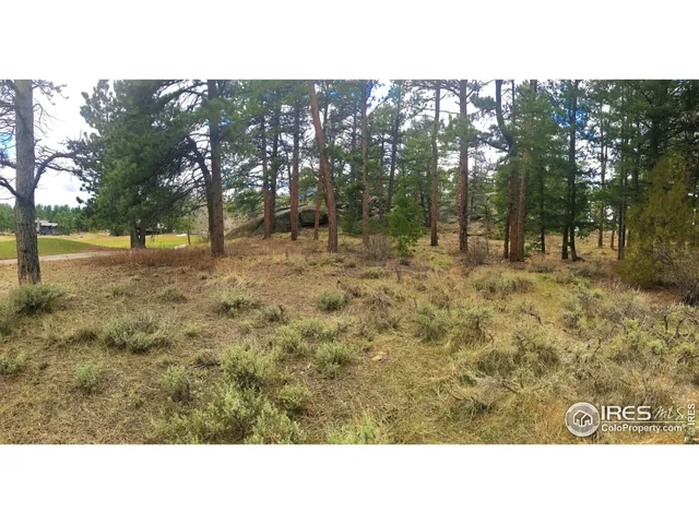a open area with trees