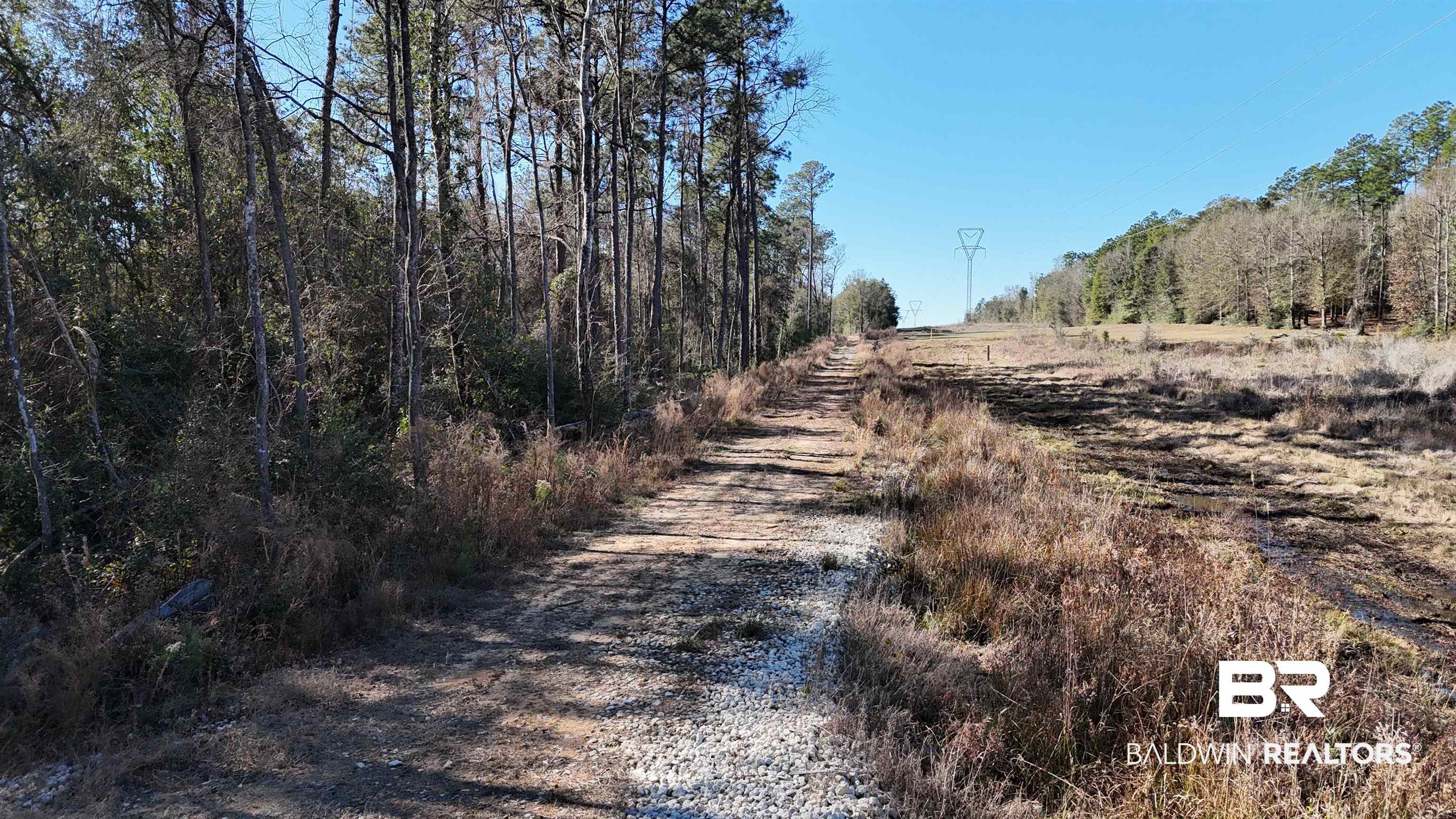 0 Radcliff Road Saraland, AL 36571 - Photo 1 of 14 View of road