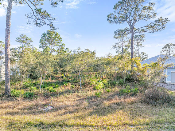 Lot 30 Paradise Point Lane Santa Rosa Beach, FL 32459 - Photo 4 of 6 DJI_20250222151727_0758_D