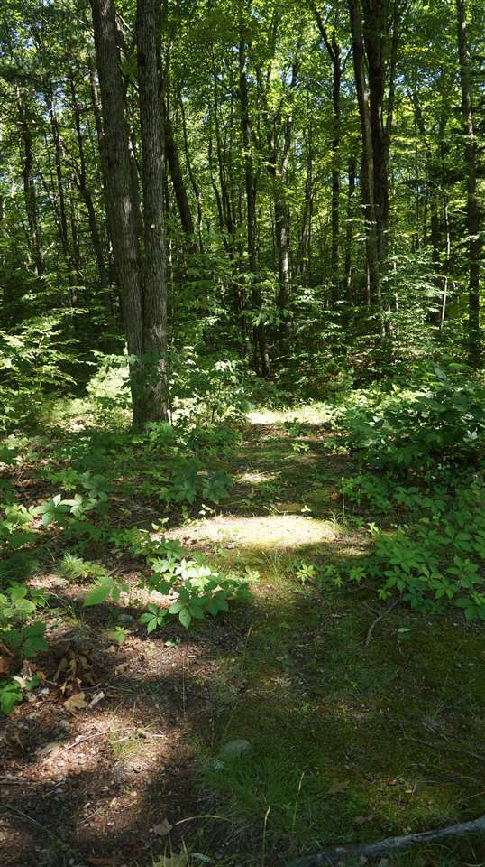 153 Walker Hill Road Weare, NH 03281 - Photo 7 of 28 Gallery Image 7