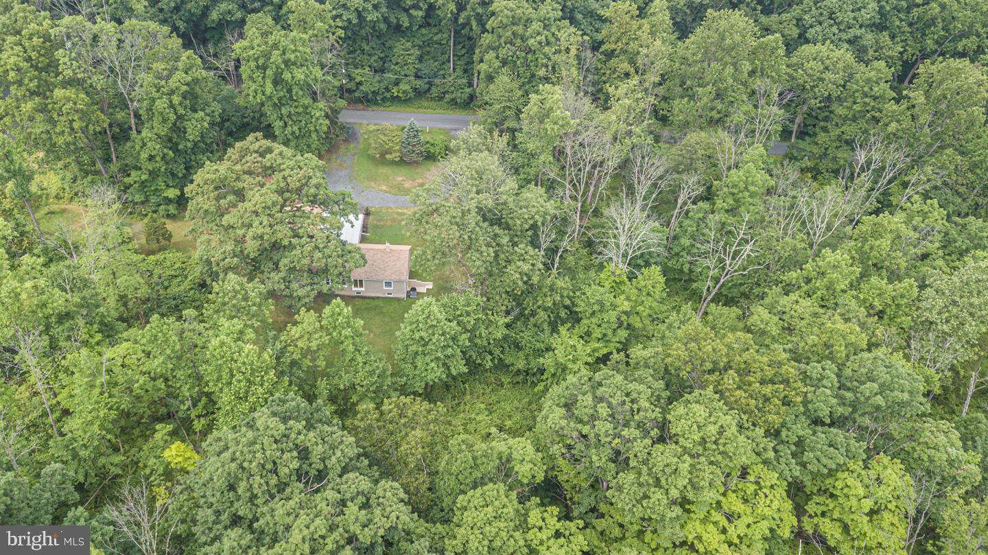 29 Knuckles Road Green Lane, PA 18054 - Photo 31 of 33