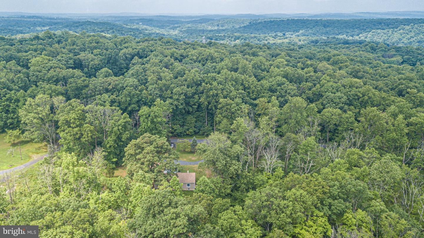 29 Knuckles Road Green Lane, PA 18054 - Photo 32 of 33 Panoramic views of the 5.91 acres.