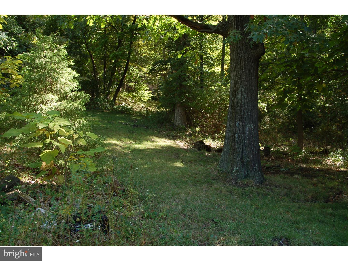 2022 McKnights Gap Road Reading, PA 19604 - Photo 6 of 19 Garden