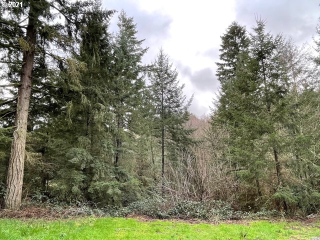 23851 South Beatie Road Oregon City, OR 97045 - Photo 4 of 8 Gallery Image 4