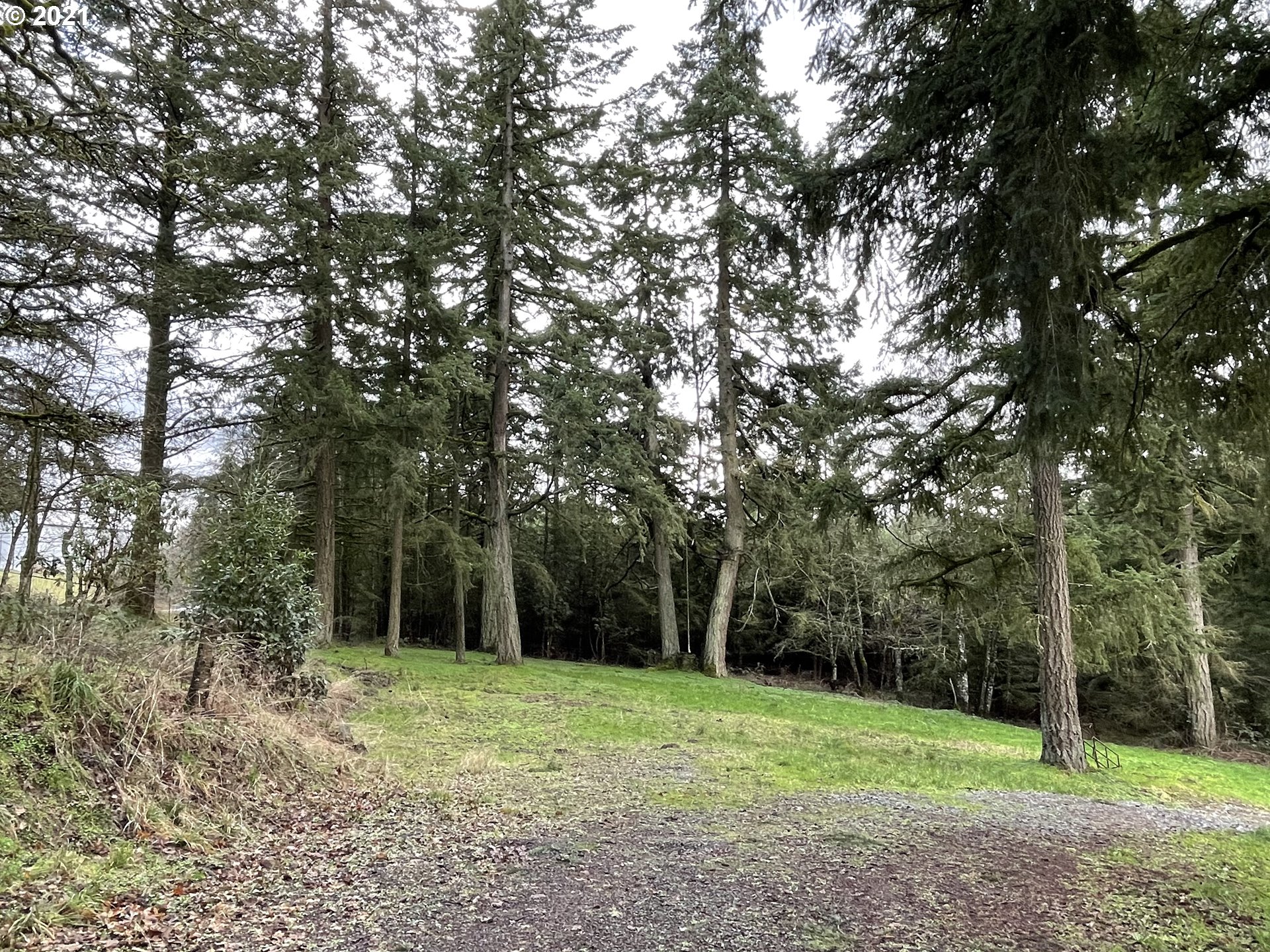 23851 South Beatie Road Oregon City, OR 97045 - Photo 6 of 8 Gallery Image 6