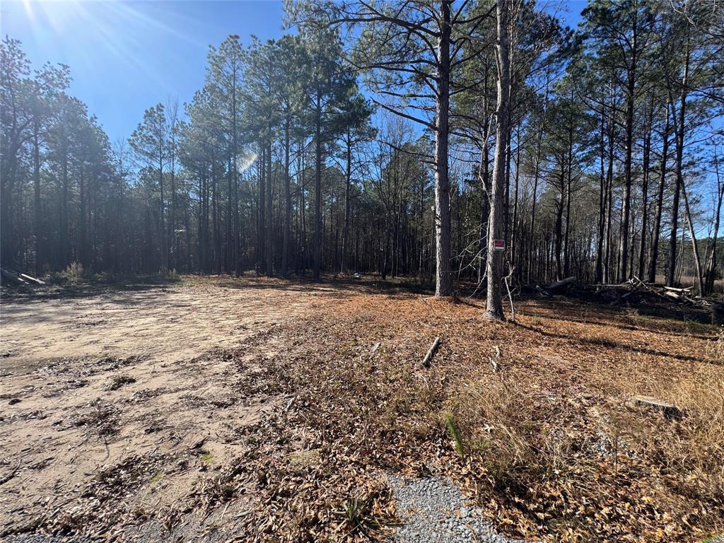 155 Triplet Road Haynesville, LA 71038 - Photo 2 of 3 a house with trees in front of it