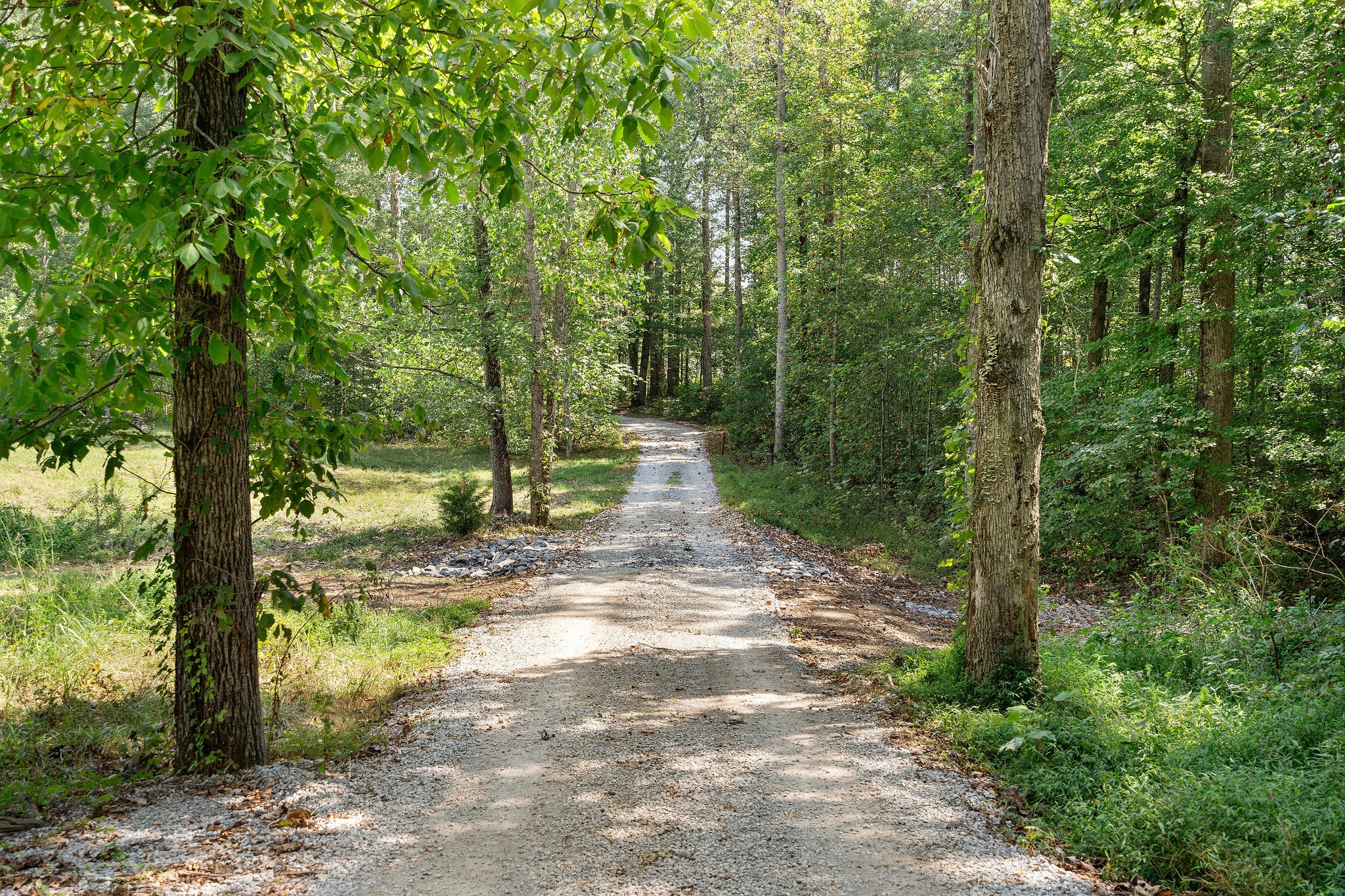 7638 Younger Creek Road Primm Springs, TN 38476 - Photo 7 of 95