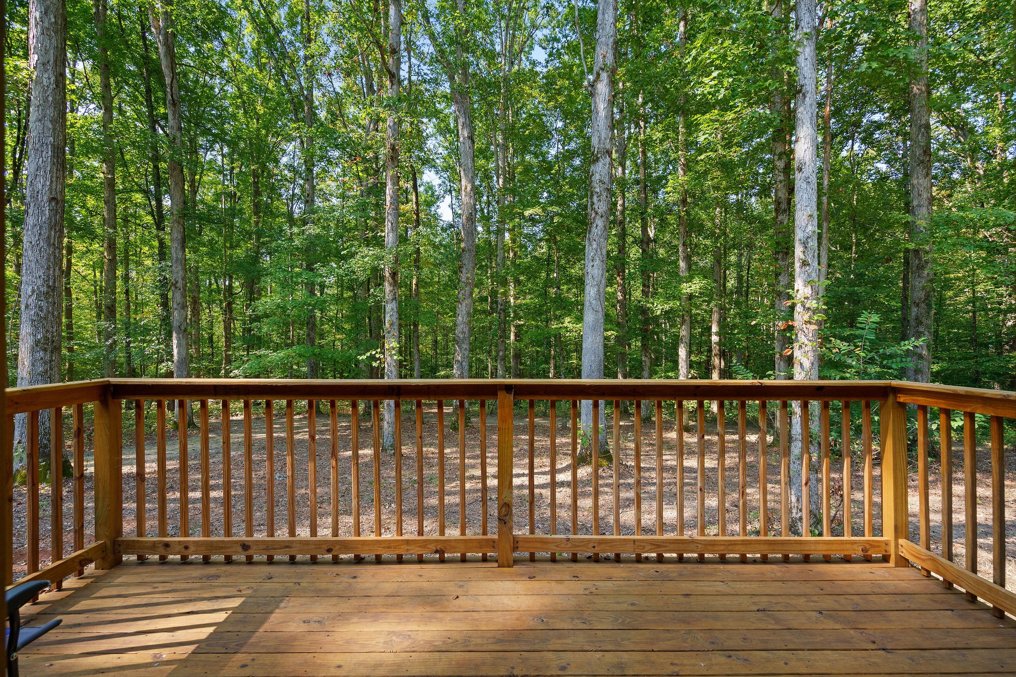 7638 Younger Creek Road Primm Springs, TN 38476 - Photo 75 of 95