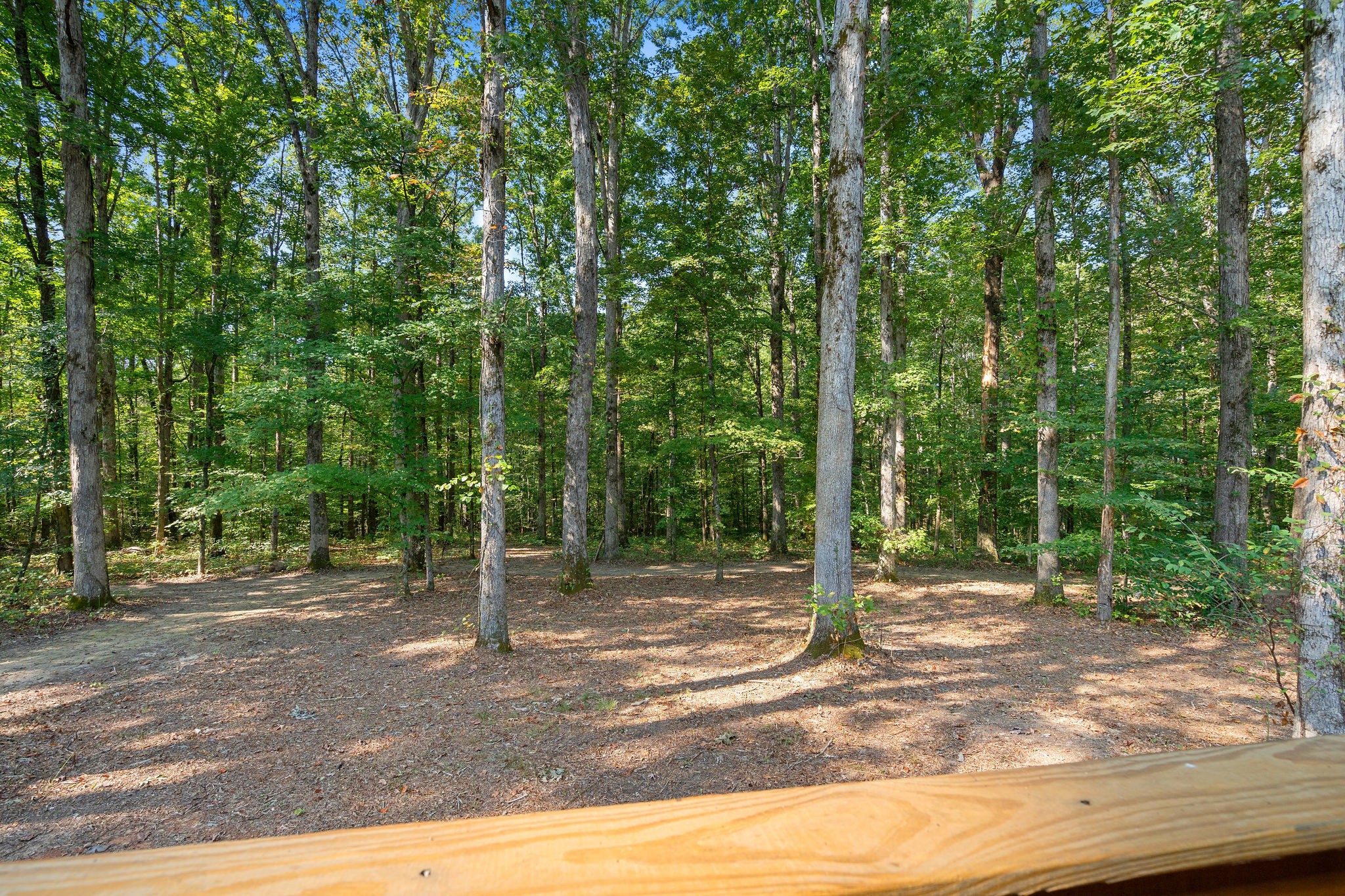 7638 Younger Creek Road Primm Springs, TN 38476 - Photo 76 of 95