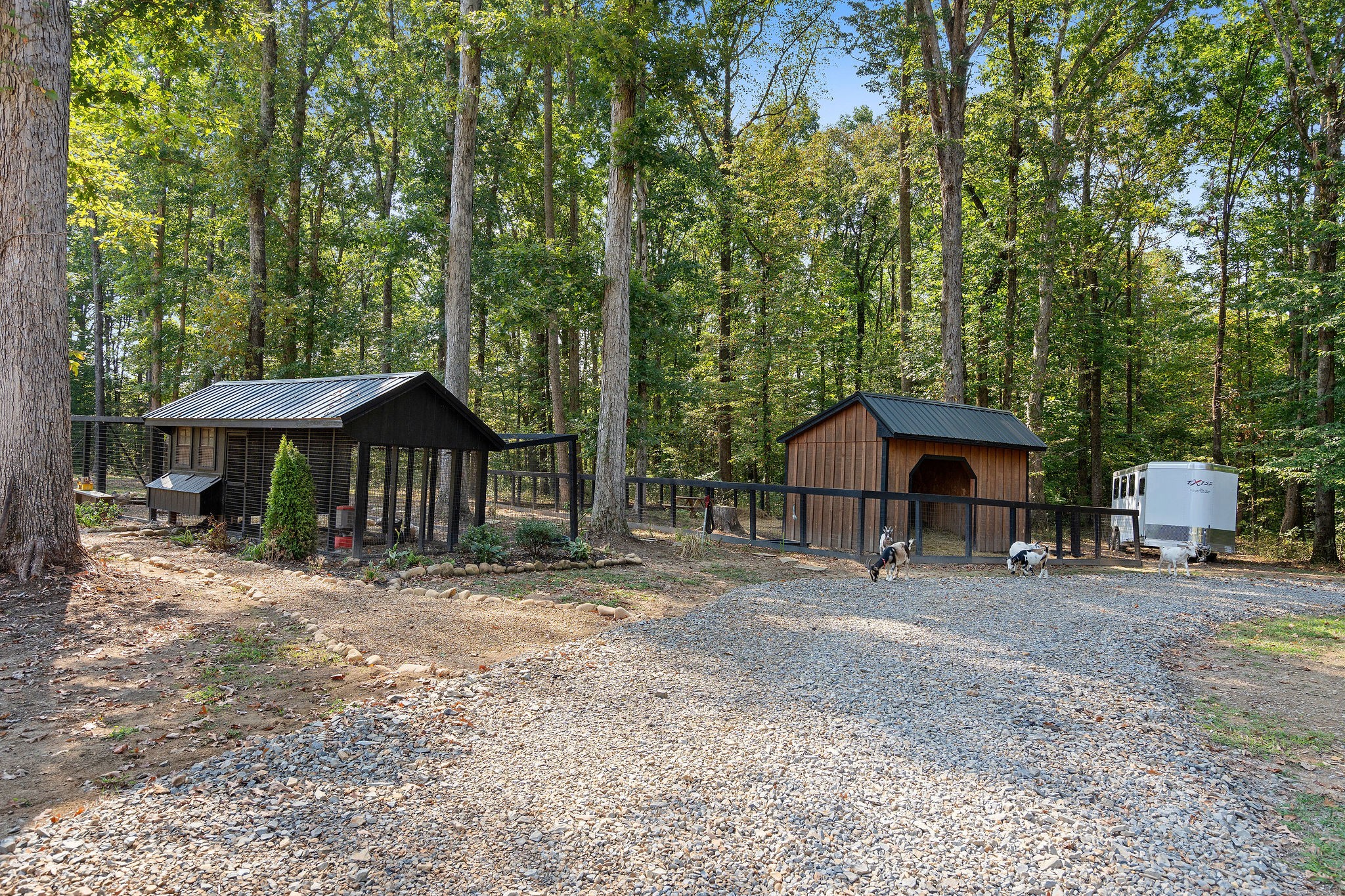 7638 Younger Creek Road Primm Springs, TN 38476 - Photo 77 of 95 a table and chairs under an umbrella