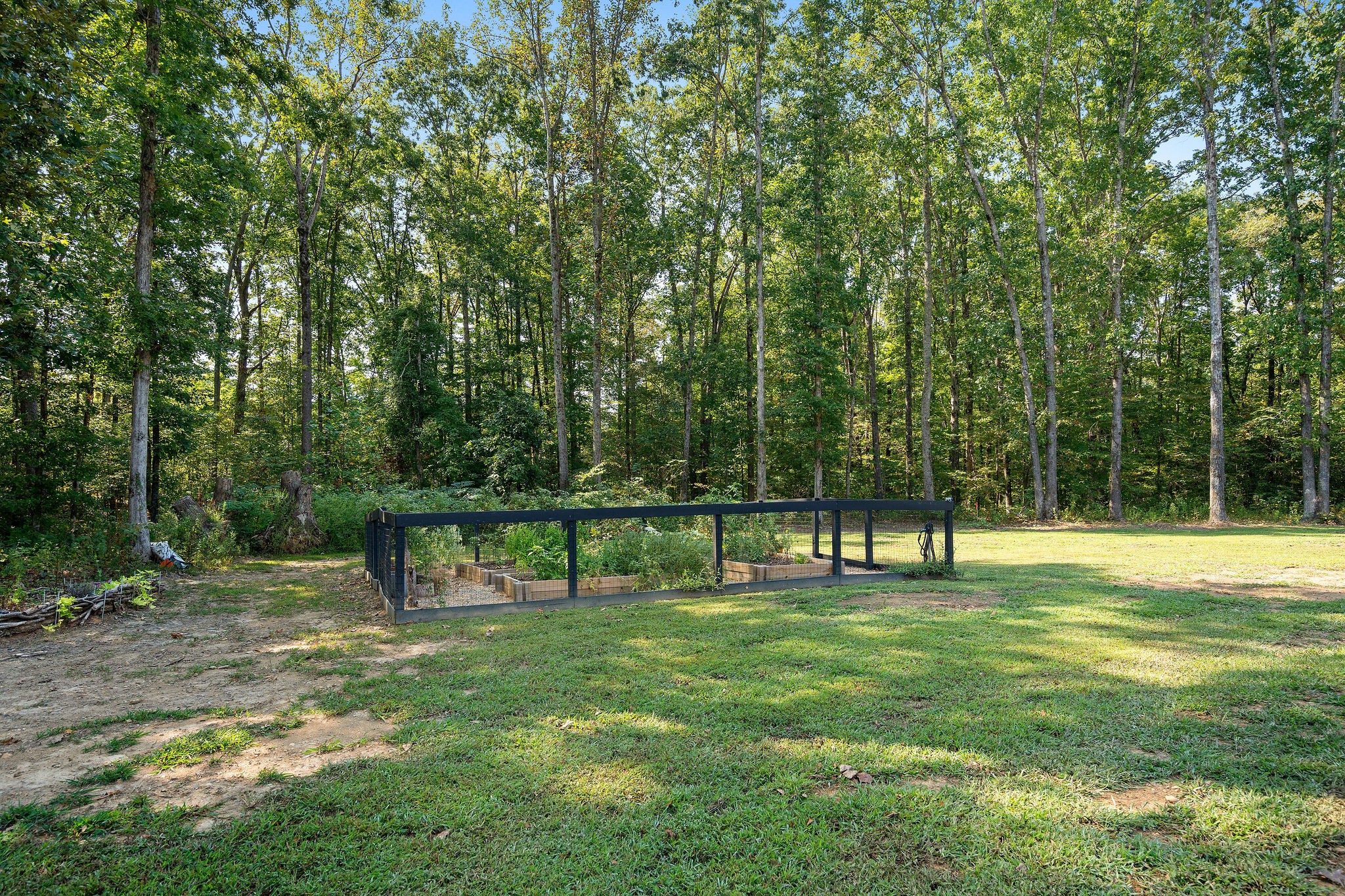 7638 Younger Creek Road Primm Springs, TN 38476 - Photo 78 of 95 a view of a park with a tree