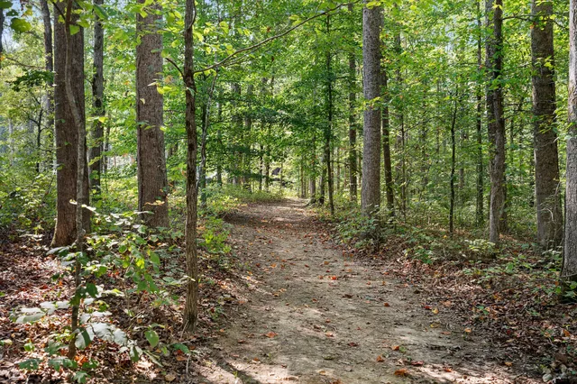 $3,150,000 | 7638 Younger Creek Road, Primm Springs, TN 38476