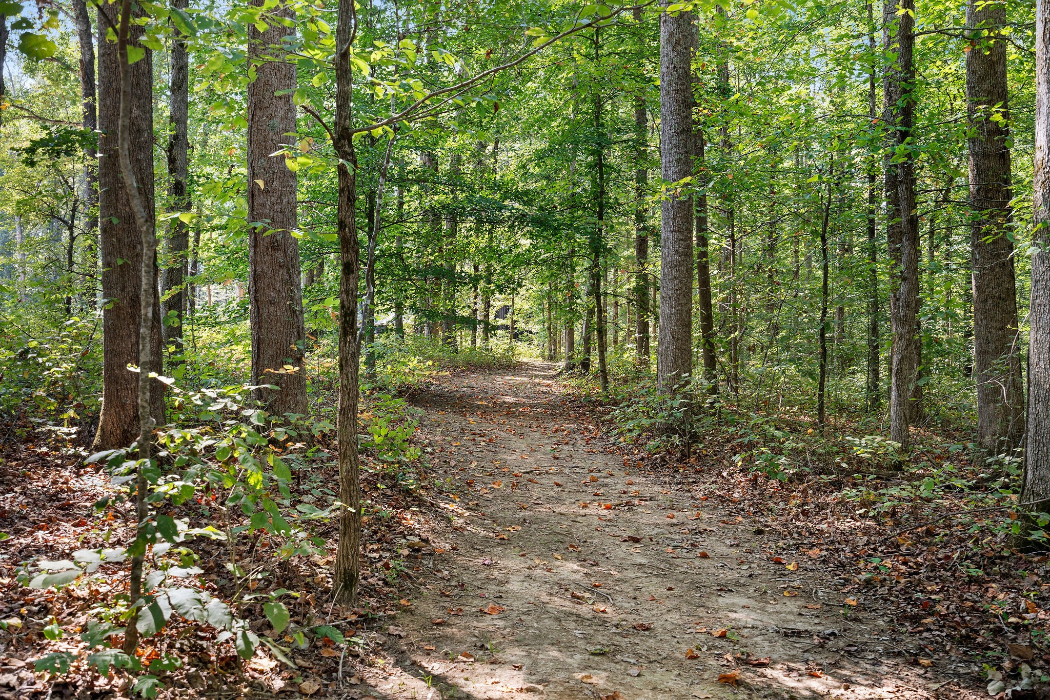 7638 Younger Creek Road Primm Springs, TN 38476 - Photo 80 of 95