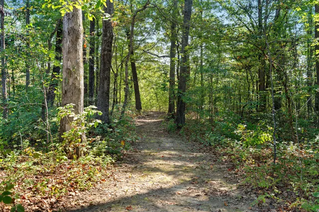 $3,150,000 | 7638 Younger Creek Road, Primm Springs, TN 38476