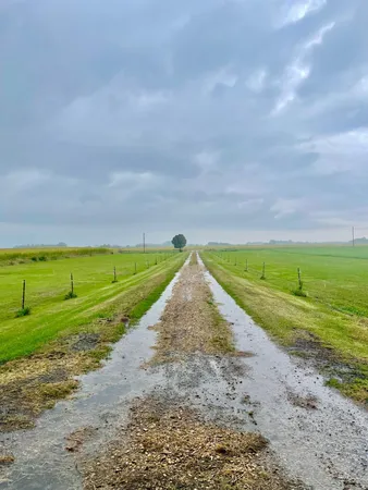 $240,000 | 20157 540th Avenue, Wells, MN 56097