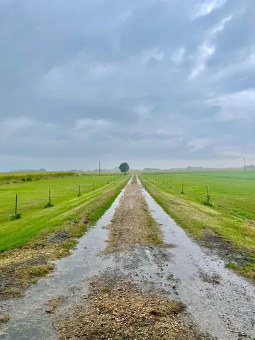 $245,000 | 20157 540th Avenue, Wells, MN 56097