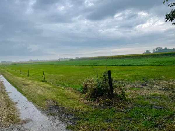 $240,000 | 20157 540th Avenue, Wells, MN 56097