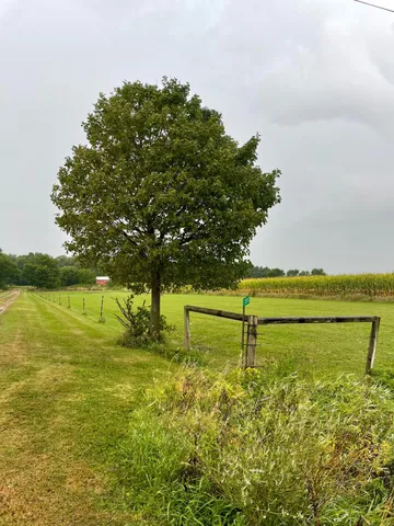 $245,000 | 20157 540th Avenue, Wells, MN 56097