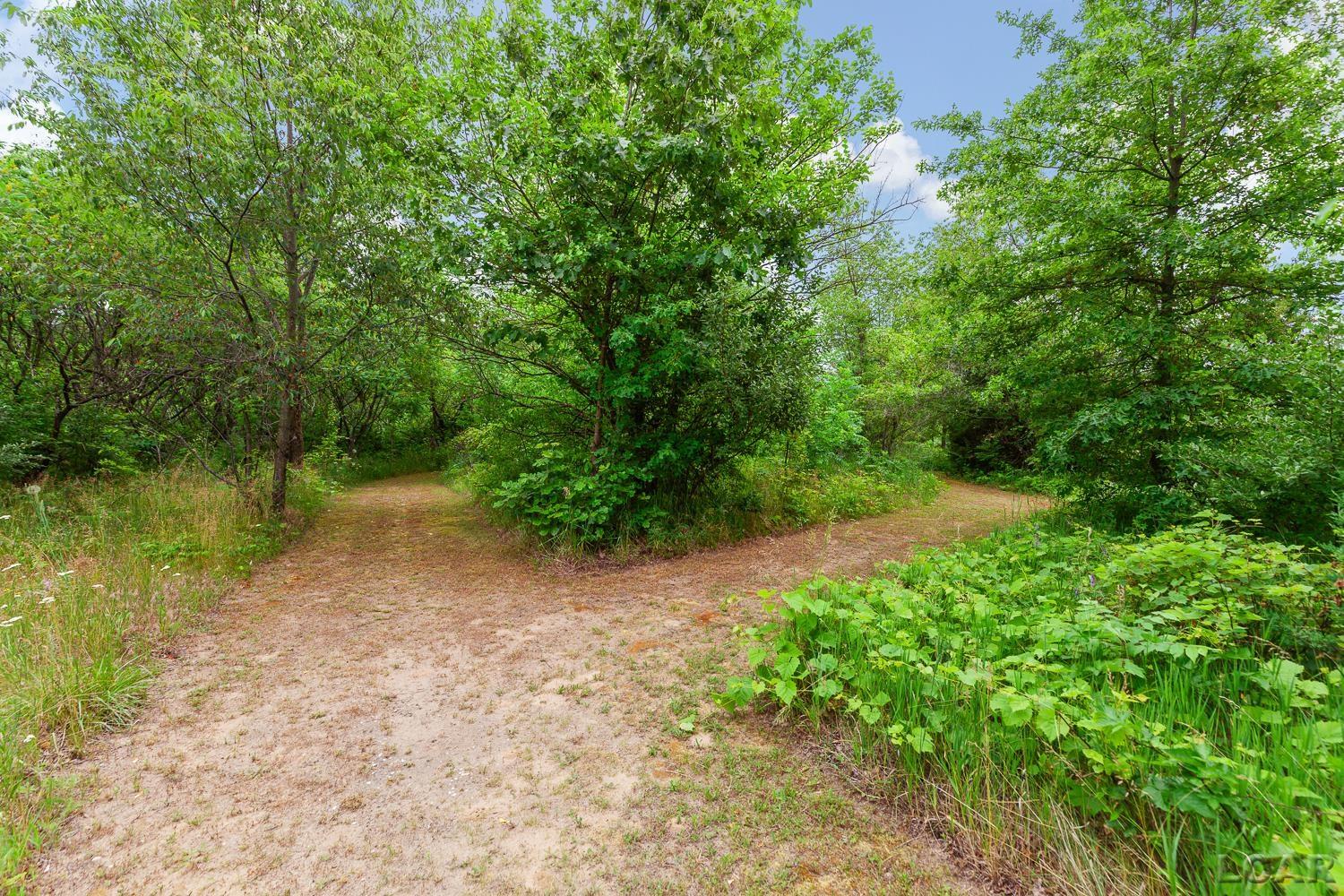 5340 Sutton Road Britton, MI 49229 - Photo 47 of 69