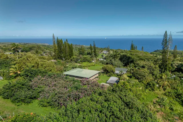 a view of a pathway with a yard
