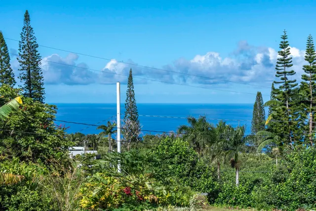 a view of a room with large windows