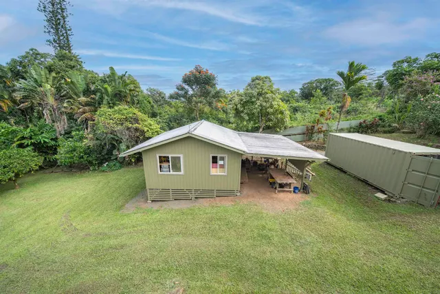 a view of a backyard with a garden and plants