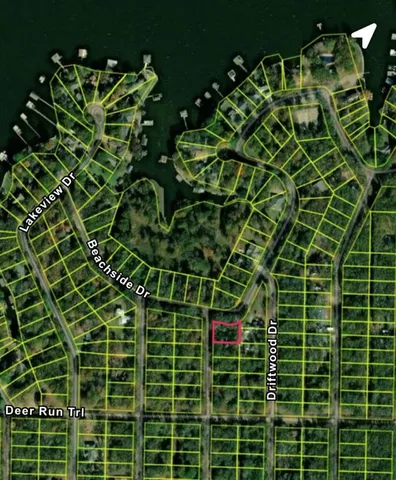 a close up of a plant in a garden