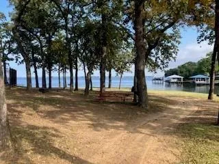 a view of outdoor space with garden