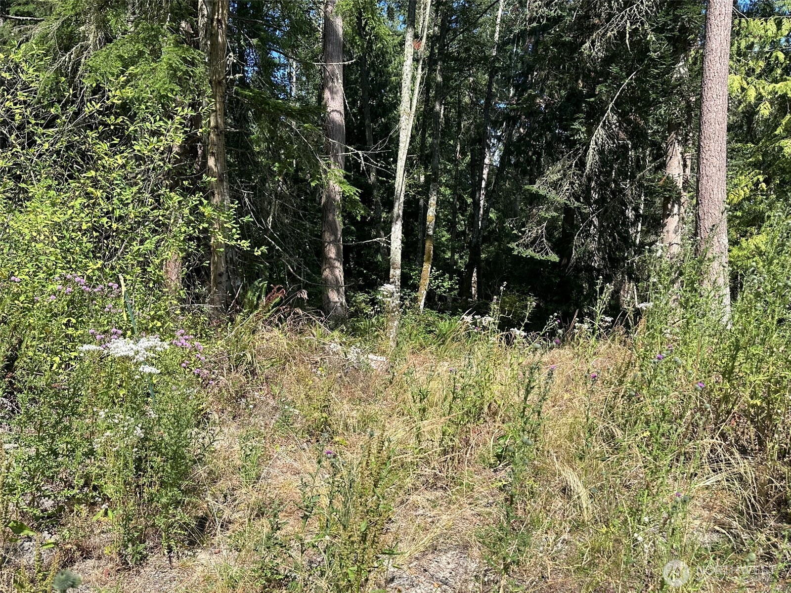 144 Took A Look Lane Sequim, WA 98382 - Photo 11 of 39 a view of outdoor space and green space