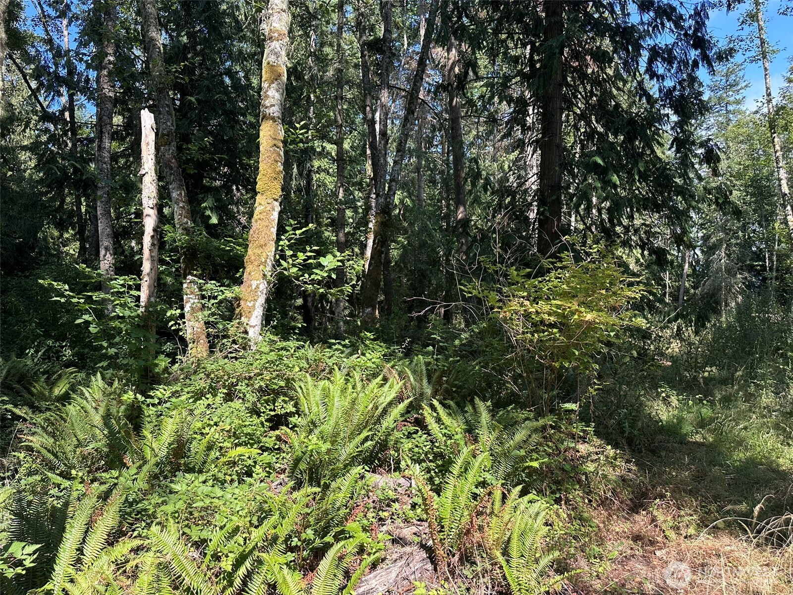 144 Took A Look Lane Sequim, WA 98382 - Photo 20 of 39 a view of a garden