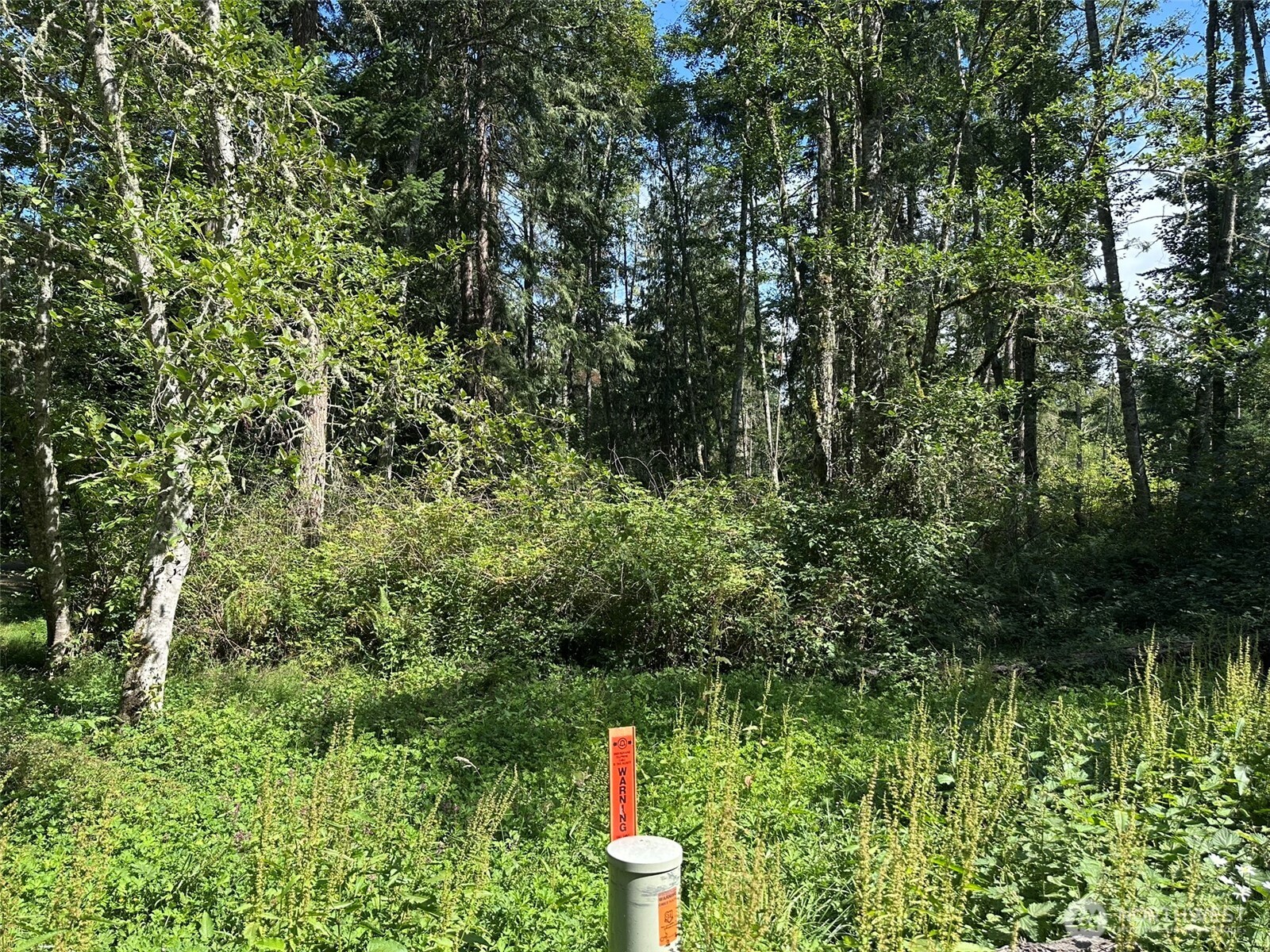 144 Took A Look Lane Sequim, WA 98382 - Photo 2 of 39 a flower garden is sitting in a forest