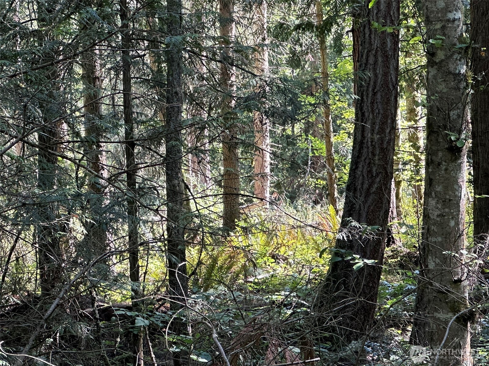 144 Took A Look Lane Sequim, WA 98382 - Photo 30 of 39