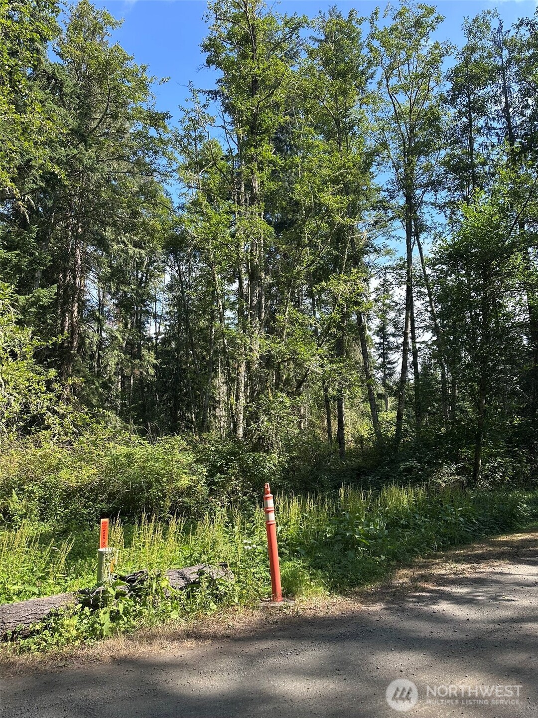 144 Took A Look Lane Sequim, WA 98382 - Photo 3 of 39 a backyard of a house with lots of green space