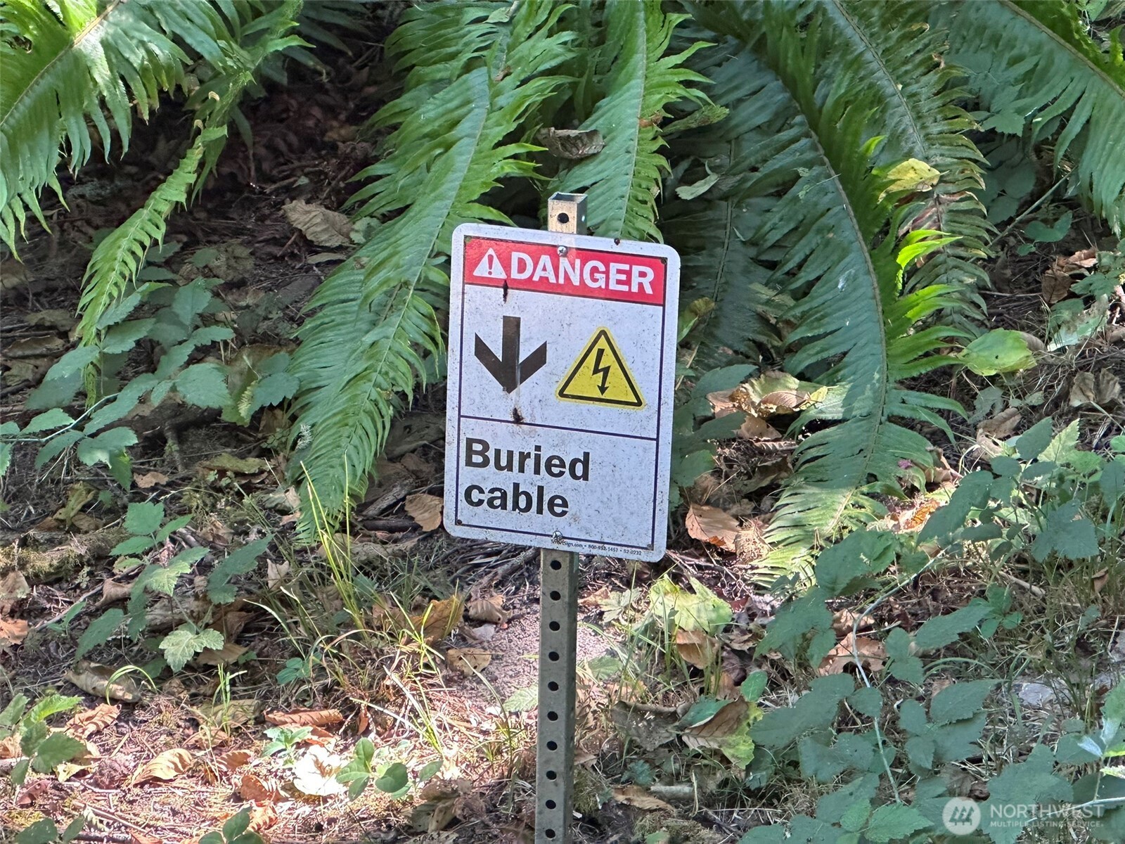 144 Took A Look Lane Sequim, WA 98382 - Photo 33 of 39 a sign broad