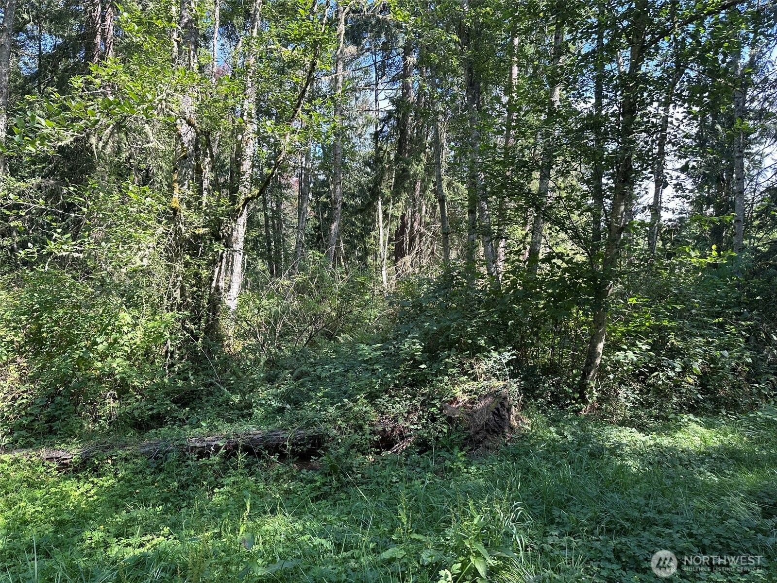 144 Took A Look Lane Sequim, WA 98382 - Photo 4 of 39 an aerial view of residential house with outdoor space and trees all around