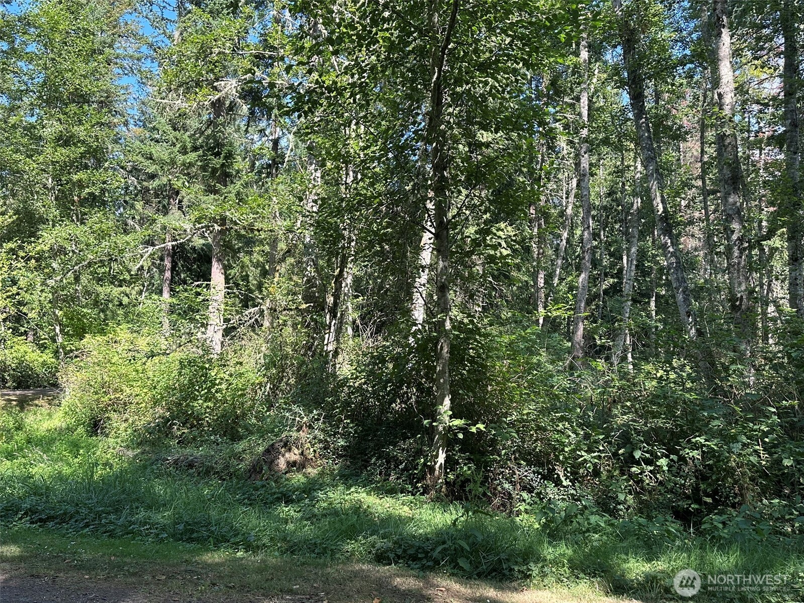 144 Took A Look Lane Sequim, WA 98382 - Photo 5 of 39 a view of a house with a tree