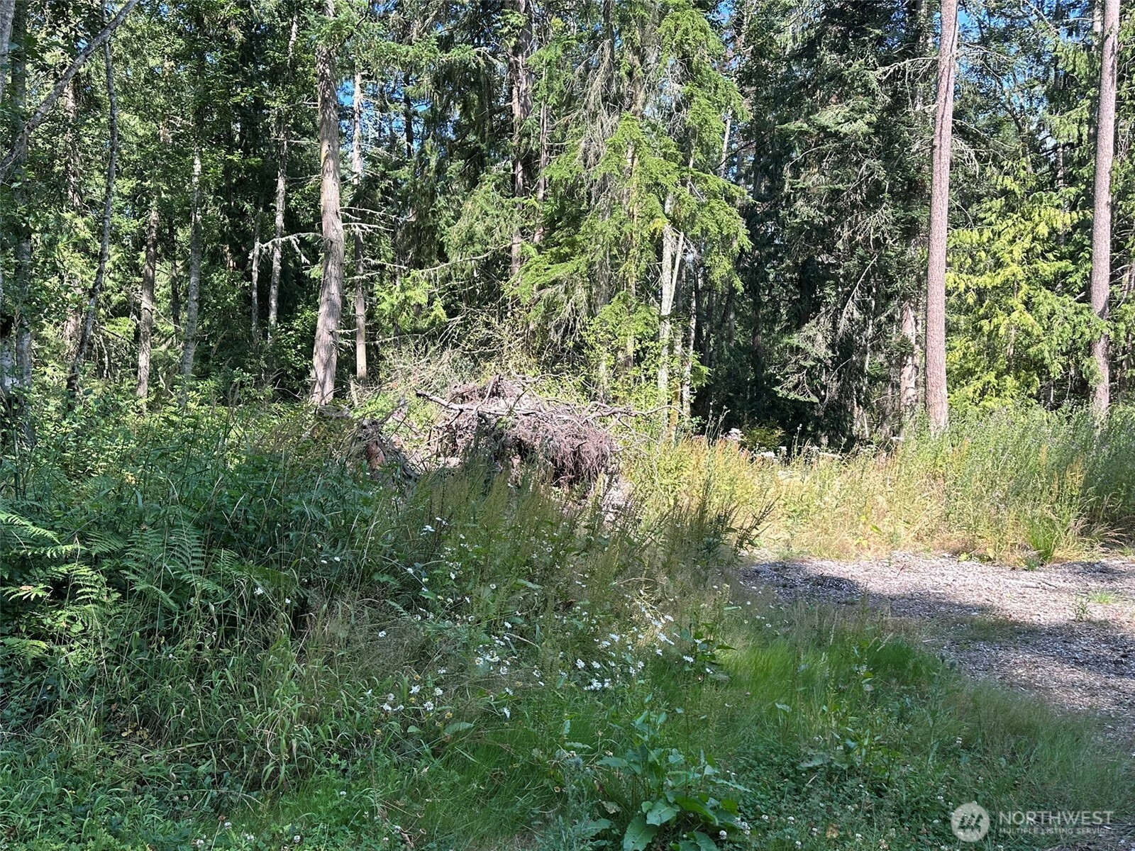 144 Took A Look Lane Sequim, WA 98382 - Photo 8 of 39 a view of backyard of house