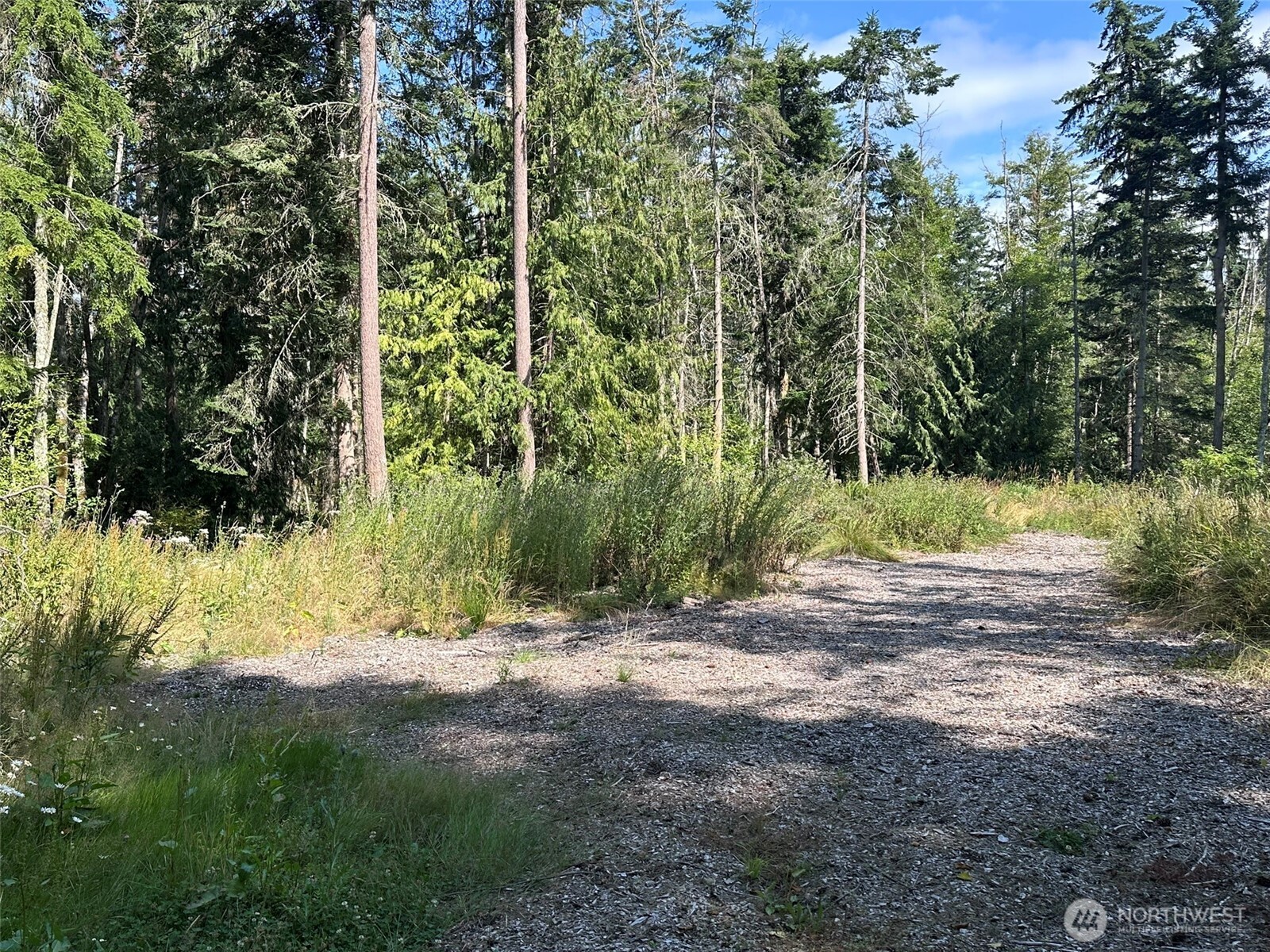 144 Took A Look Lane Sequim, WA 98382 - Photo 9 of 39 a view of backyard space