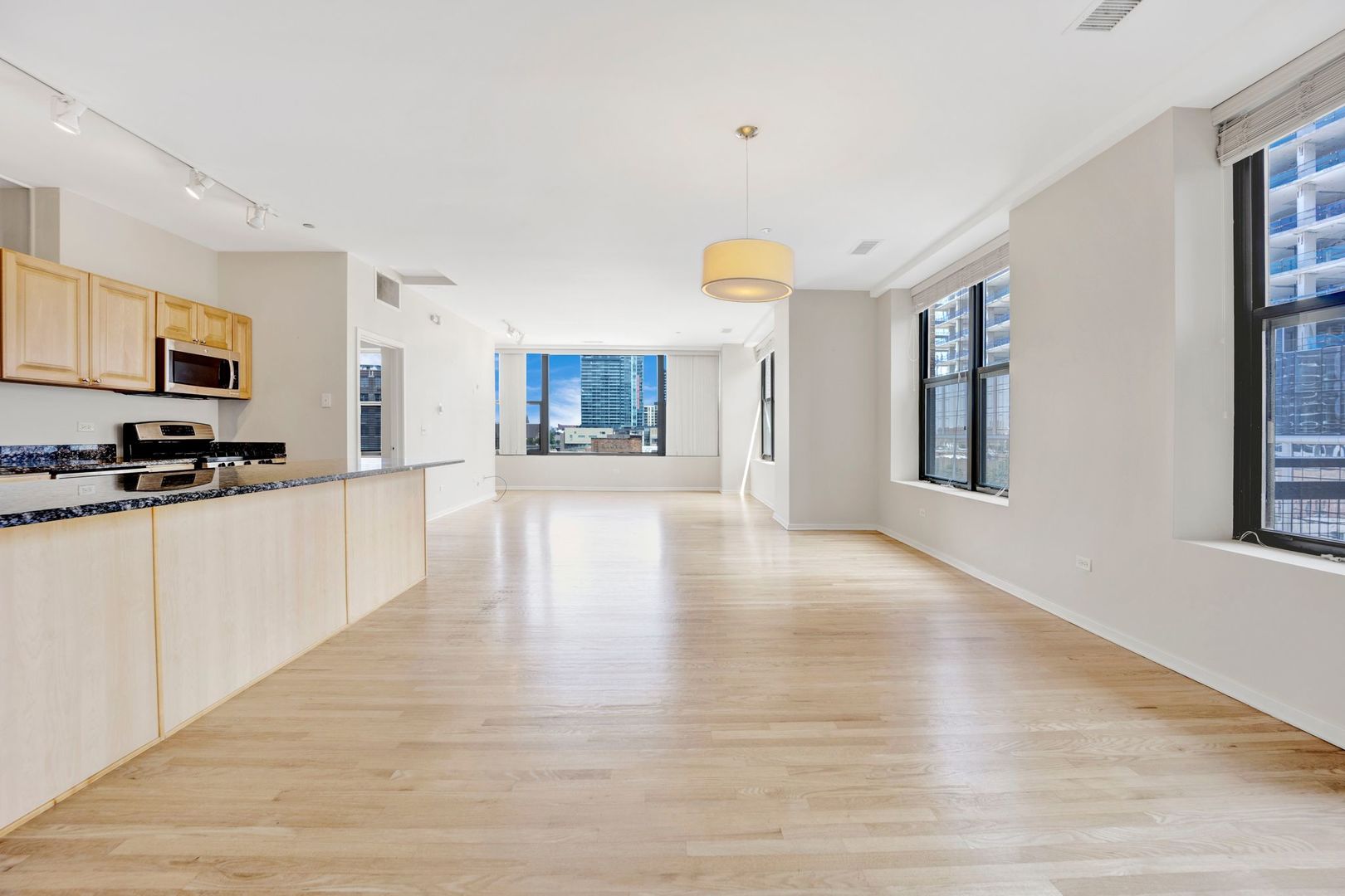 Undisclosed Address Chicago, IL 60610 - Photo 13 of 36