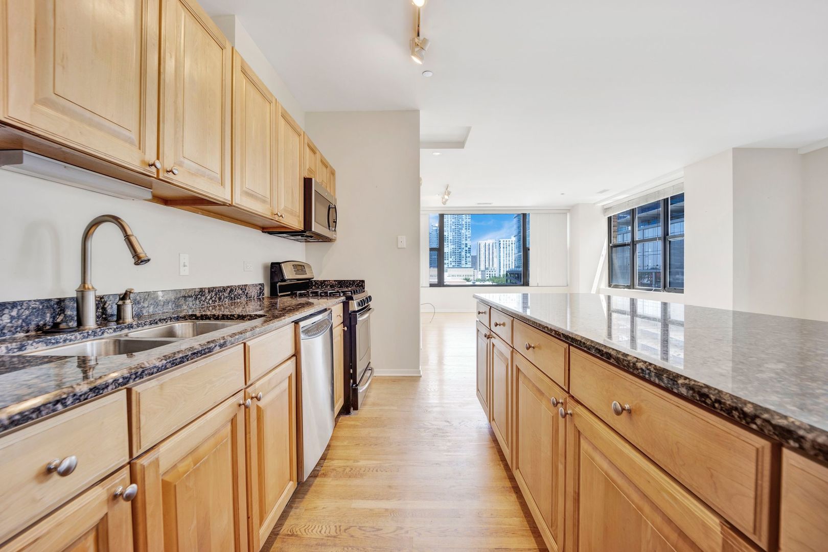 Undisclosed Address Chicago, IL 60610 - Photo 3 of 36