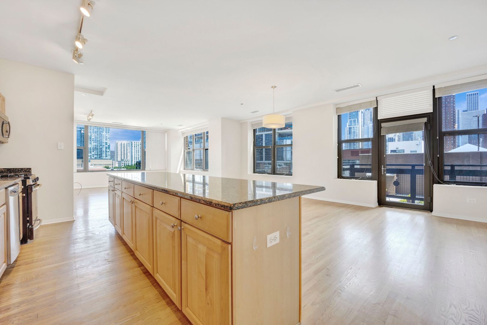 Undisclosed Address Chicago, IL 60610 - Photo 4 of 36