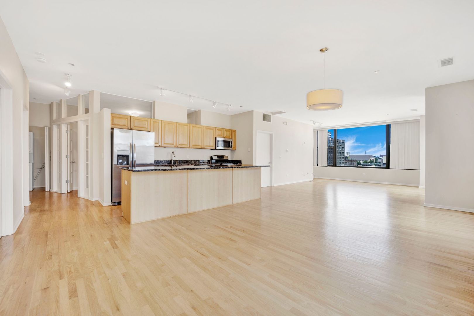 Undisclosed Address Chicago, IL 60610 - Photo 9 of 36