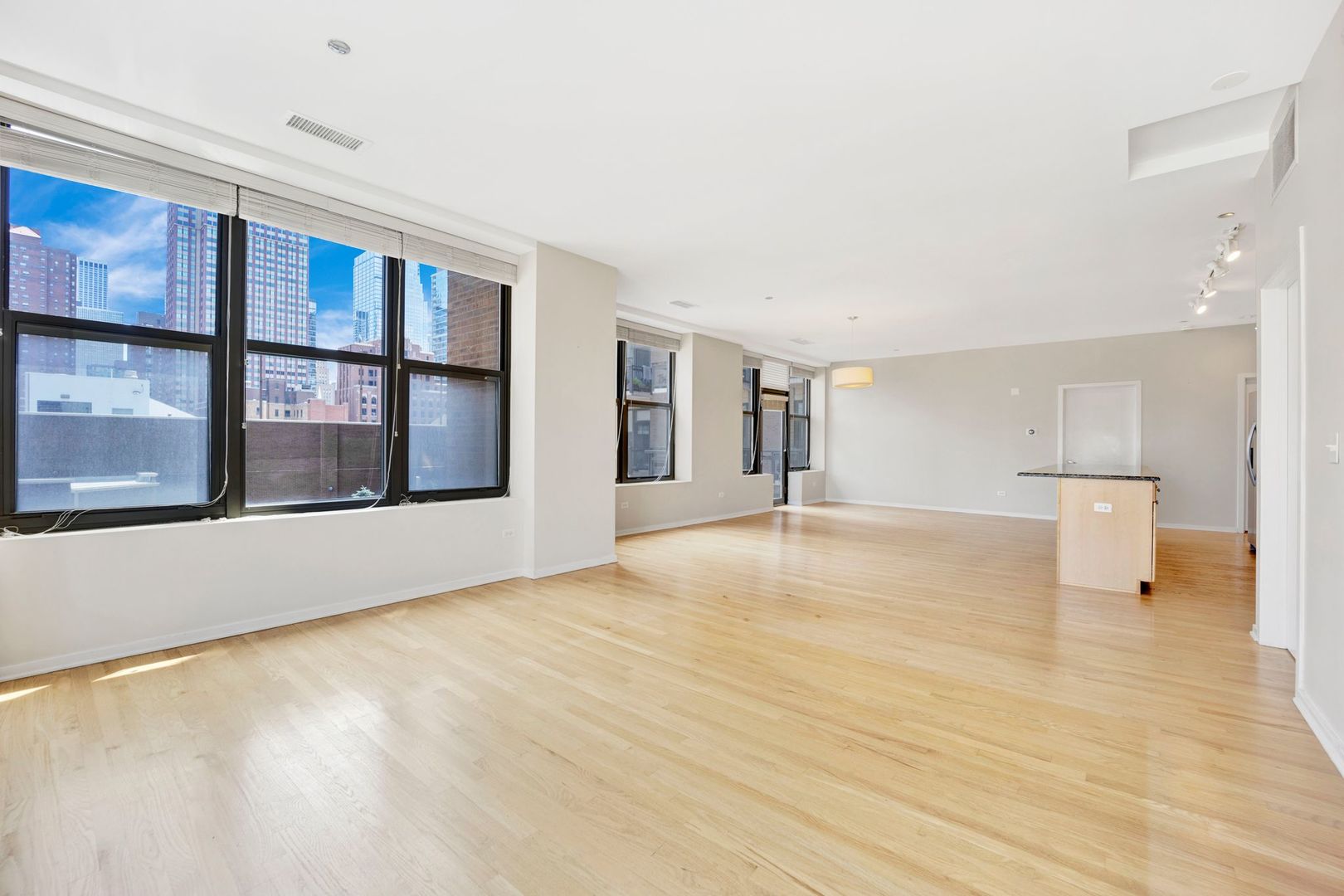 Undisclosed Address Chicago, IL 60610 - Photo 10 of 36