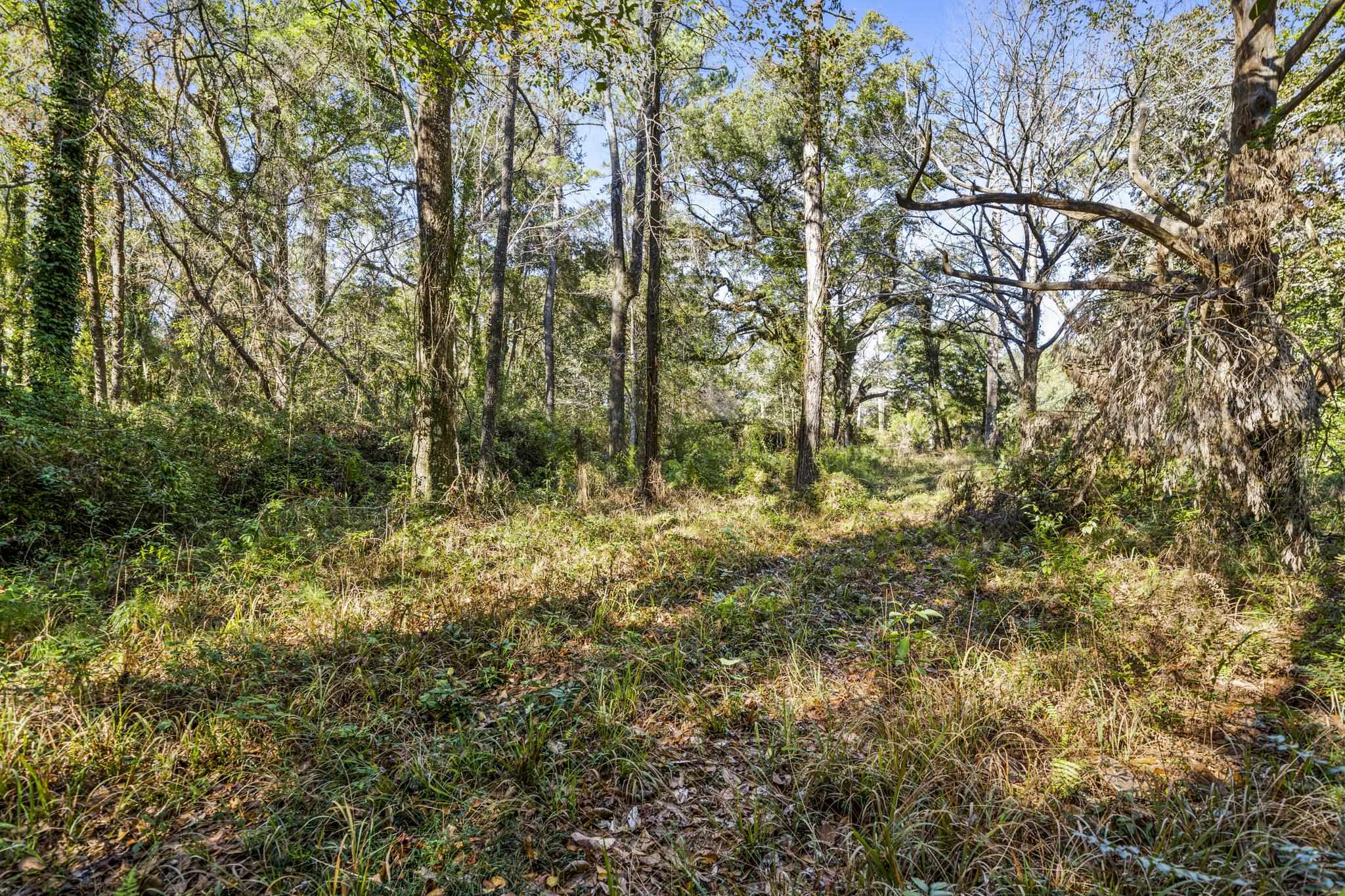 0 Main Street Fairhope, AL 36532 - Photo 12 of 27