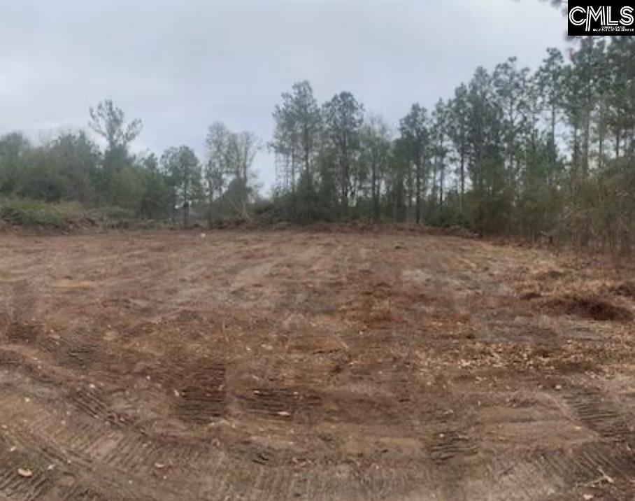 1257-b-1 Old Orangeburg Road Lexington, SC 29073 - Photo 2 of 2