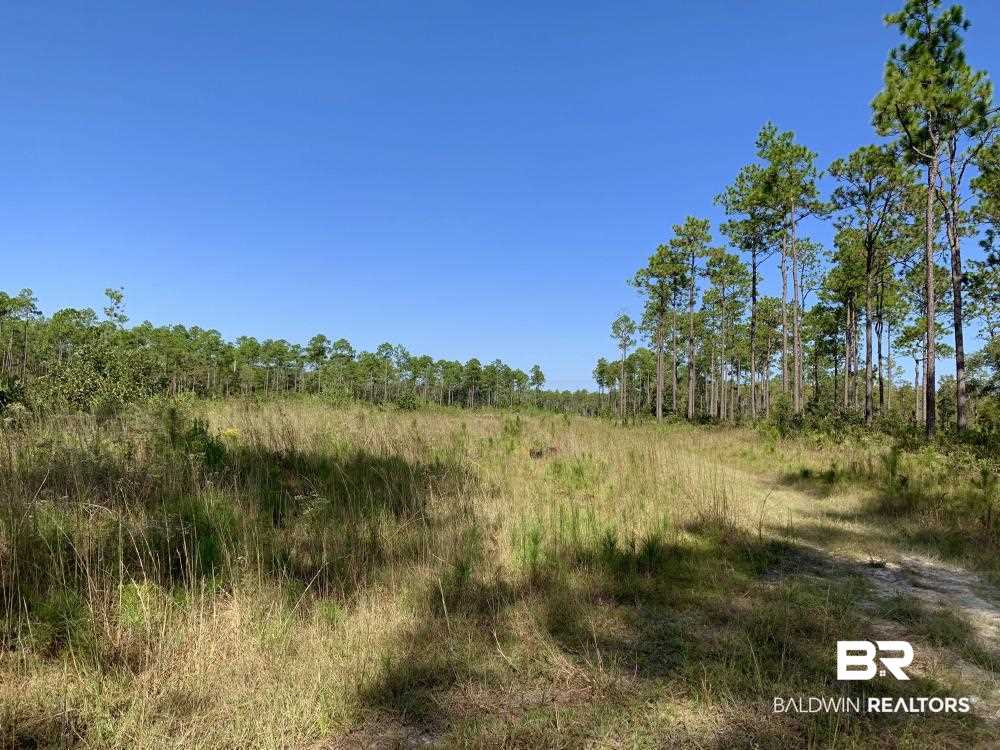 0 Three 3 Rivers Road Seminole, AL 36574 - Photo 25 of 27
