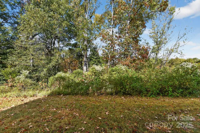 a view of a yard with a tree